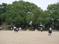 P1010576