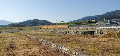 pict-20231026_091327