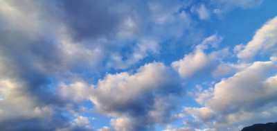 pict-20240111_075549