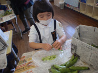 P5090055