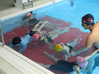 pict-IMG_4245