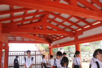 IMG_20260904_43627