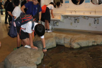 IMG_20260904_35137